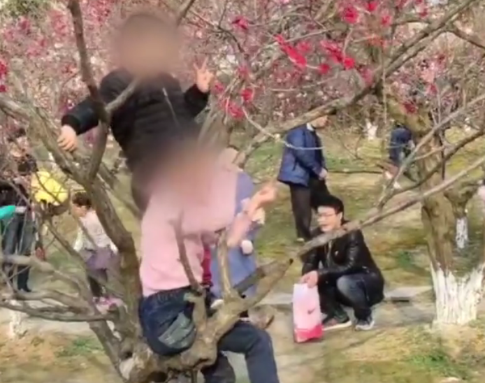 微信截图_20190310151225.png