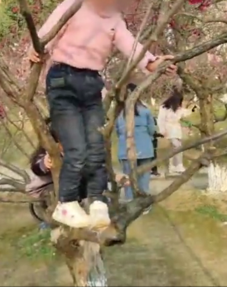 微信截图_20190310151246.png