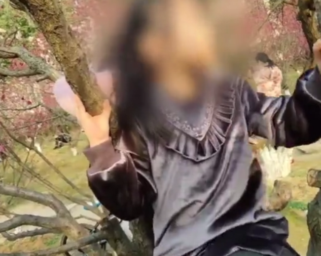 微信截图_20190310151308.png
