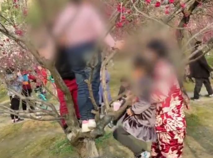 微信截图_20190310151326.png