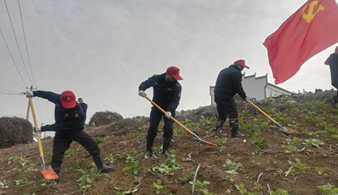 微信截图_20190312121647.png