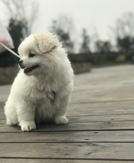 微信截图_20190313143037.png