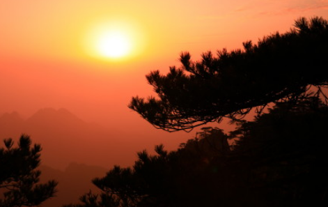 微信截图_20190313174248.png