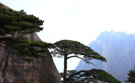 微信截图_20190313174305.png
