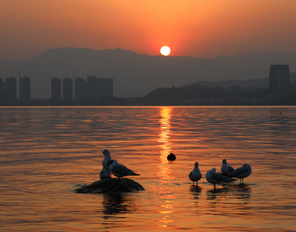 微信截图_20190314155539.png