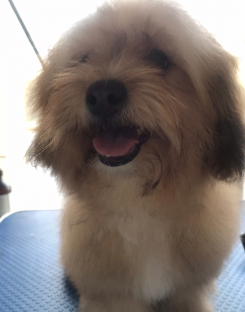 微信截图_20190325170720.png