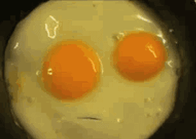__wx2.sinaimg.cn_mw1024_0060VITuly1g1p8kk74nwg30al07jqe0.gif