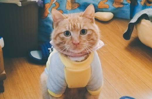 微信截图_20190418175932.png