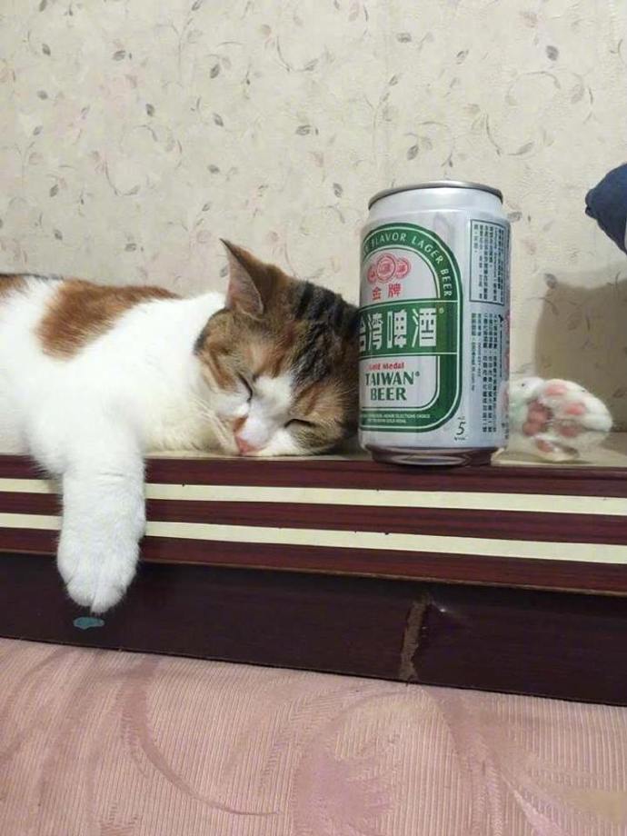 63e5c1e1ly1g274ps6nuaj20k00qowgh.jpg