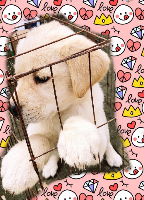 微信截图_20190422174528.png