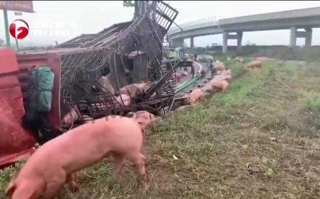 微信截图_20190424090317.png