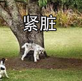 a7caf992ly1g27q3vtn96j207w07udgo.jpg