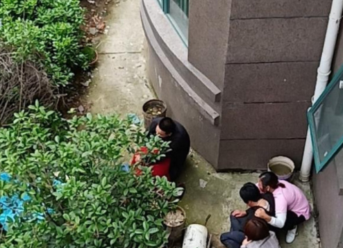 微信截图_20190425095214.png