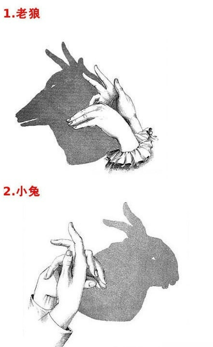 微信截图_20190505154730.png