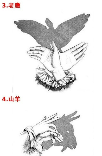 微信截图_20190505154737.png