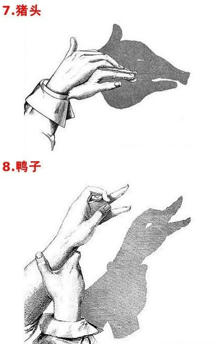微信截图_20190505154854.png