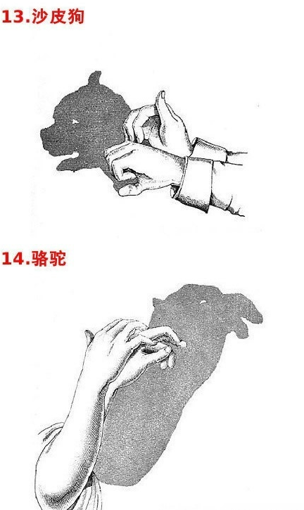 微信截图_20190505154930.png