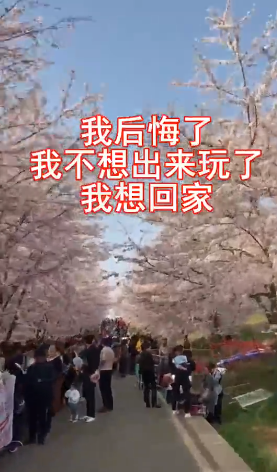 微信截图_20190506171003.png