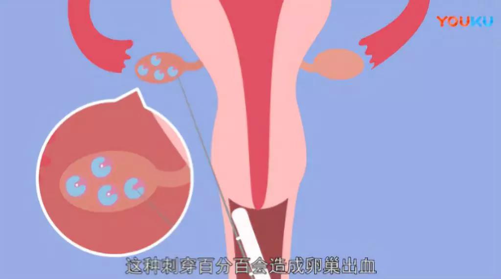 微信图片_20190507135056.jpg