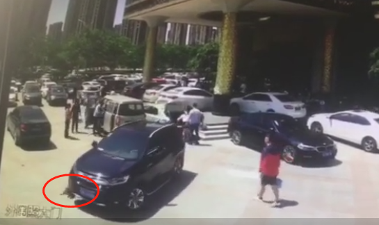 微信截图_20190508111338.png