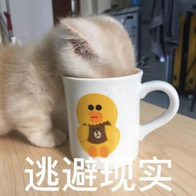 微信图片_20190509173855.jpg