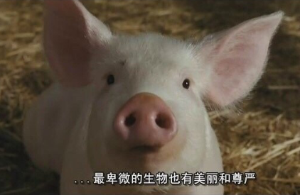 微信截图_20190510161204.png