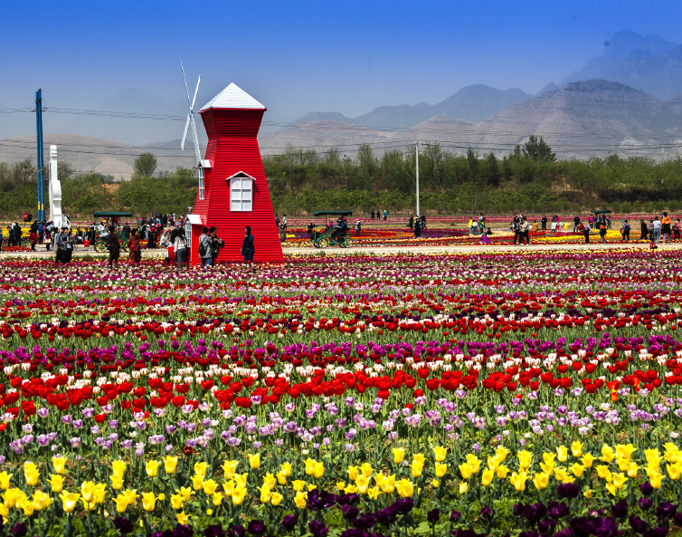 微信截图_20190510175342.png