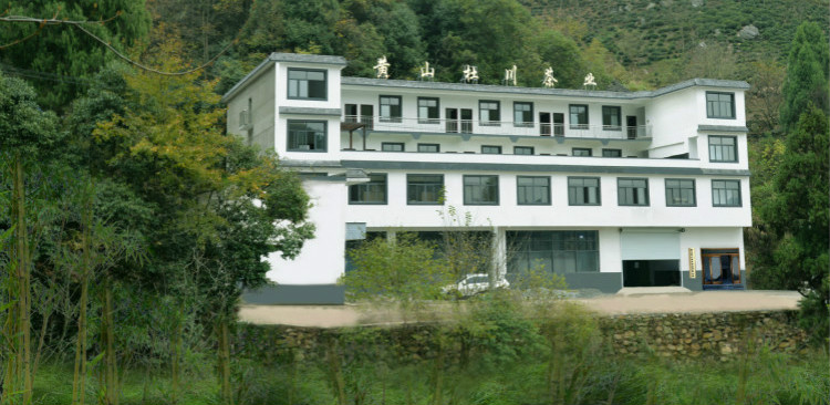 杜川茶业.jpg