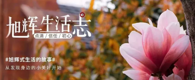 微信截图_20190521164049.png