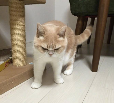 微信截图_20190530143343.png