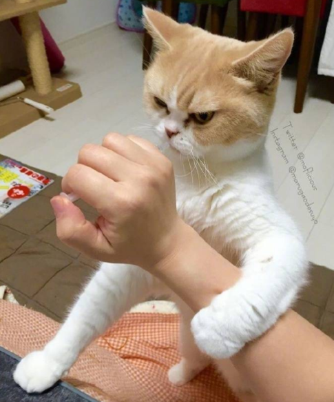 微信截图_20190530143410.png