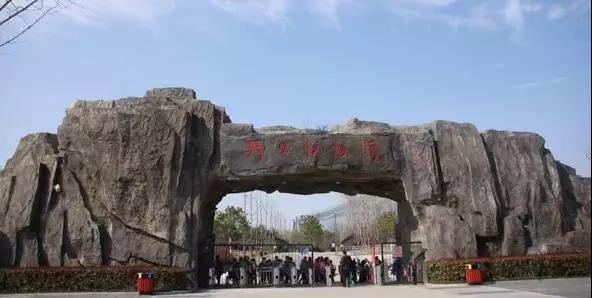 微信图片_20190603085637.jpg