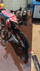 微信图片_20190603165705.gif