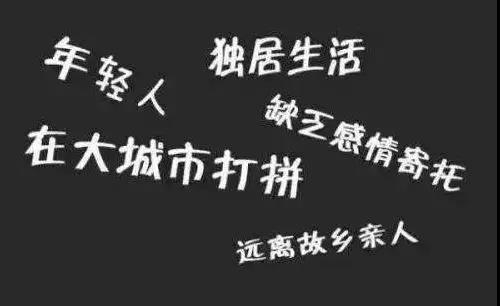 微信图片_20190604170649.jpg