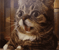 006ARE9vgy1g3sdja5mgsg305k04o79k.gif