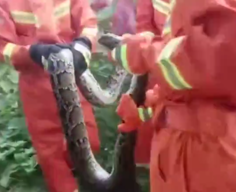 微信截图_20190610163813.png