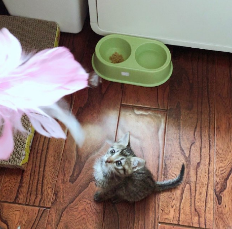 微信截图_20190612180042.png