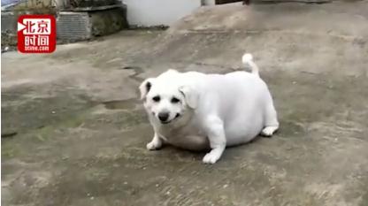 微信截图_20190615135934.jpg
