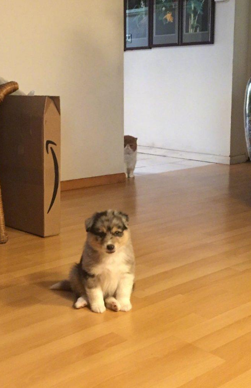 微信截图_20190617133423.png