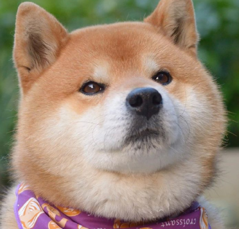 微信截图_20190621141242.png