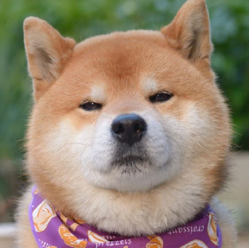 微信截图_20190621141248.png