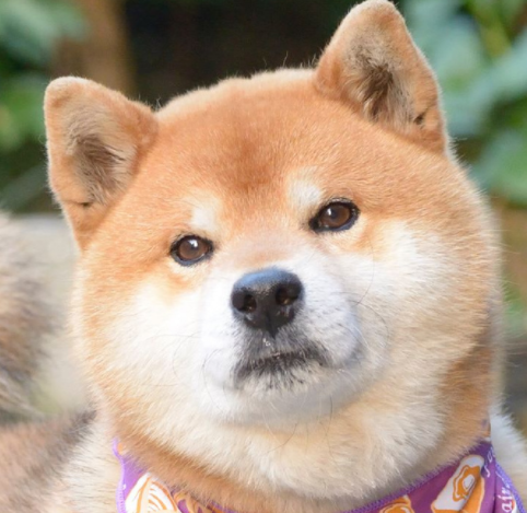 微信截图_20190621141253.png