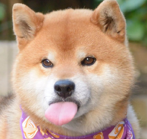 微信截图_20190621141258.png