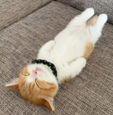 微信截图_20190623161254.png