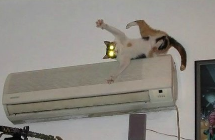 微信截图_20190624145645.png