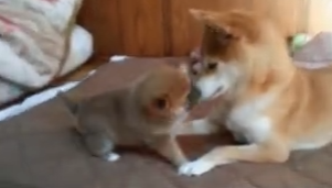 微信截图_20190625105529.png