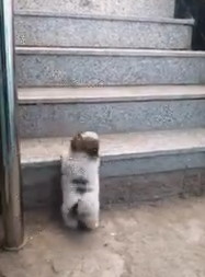 微信截图_20190625105606.png