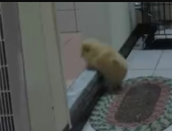 微信截图_20190625105631.png