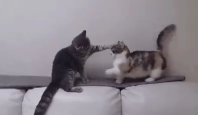 微信截图_20190625105638.png
