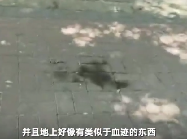 微信截图_20190625145234.png